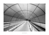 movimiento11