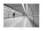 movimiento17