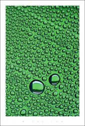 cshot plus 2010 (19)