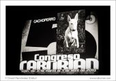 Dabo V Congreso  (114)