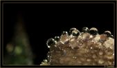 Candela Gotas001