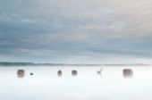 Lac_de_leon-pastel.jpg