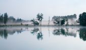 etang_noir.jpg