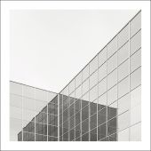 quicopedro (06)