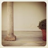 IG srgb 10
