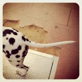 IG srgb 28