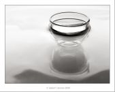 bodegon-1