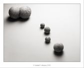 bodegon-17