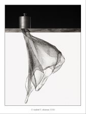 bodegon-20