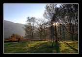 calaf