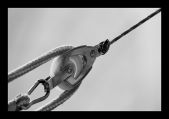 policarpio