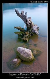 Hari Seldon