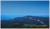 acephal