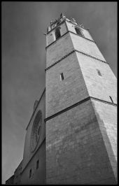 acephal