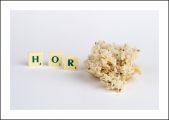 kocke