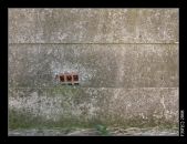 pnej