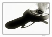 oveja negra