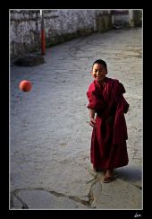 P6A3478 web