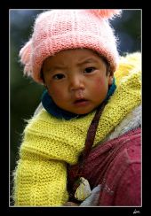 P6A3575 web