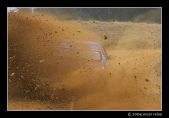 oreixa rallyes 0007