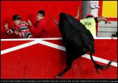 SANFERMIN1