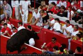 SANFERMIN15