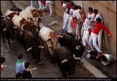 SANFERMIN7