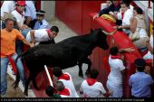 SANFERMIN8