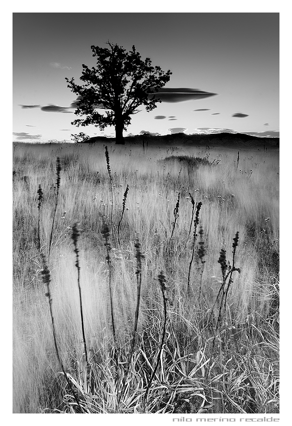 paisaje9bn2jj9.jpg