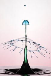 Galería de Fris - Drops - 09