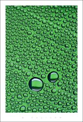 burbujas_verde.jpg