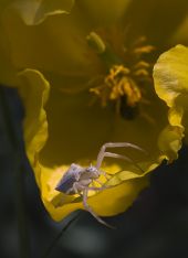 veraneoia2.jpg