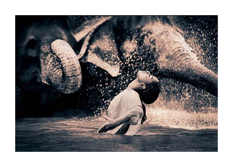 gregory_colbert11.jpg