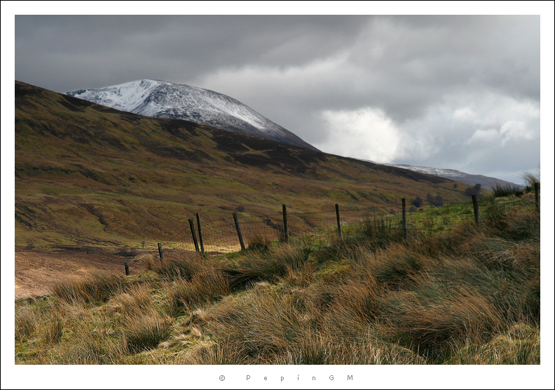 Mamore Forest, cerca del Ben Nevis