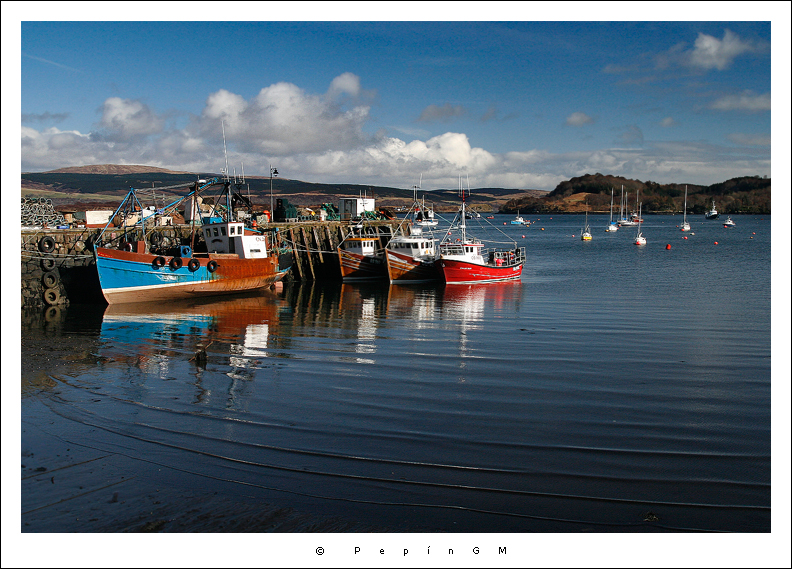  Puerto pesquero de Tobermory