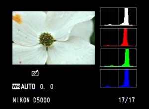 histogram-main-002