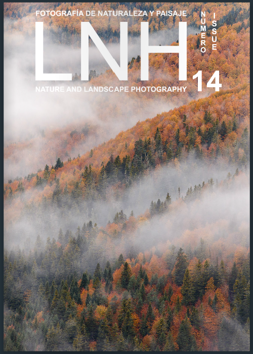 Revista LNH