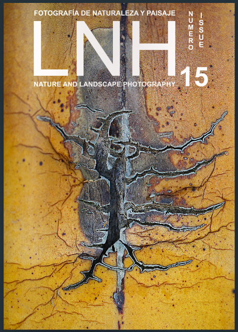 Revista LNH número 15