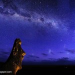 El paisaje estrellado. Astrofotografía por Manel Soria