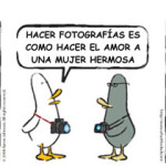 What the Duck números 578, 1273 y 1272