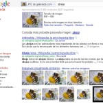 Rastrea tus imágenes con Google