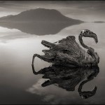 [Fotógrafos] Las postales desde el inframundo de Nick Brandt 